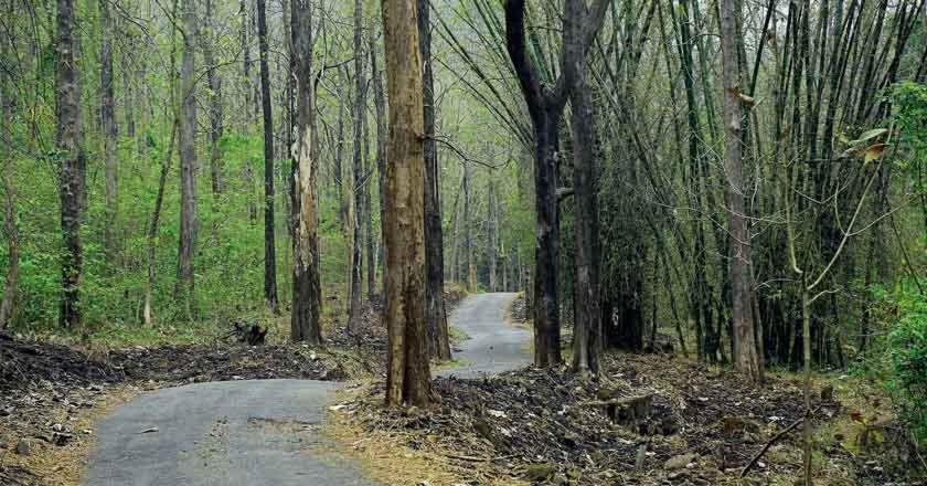 Thenmala Heritage コッラム エクステリア 写真